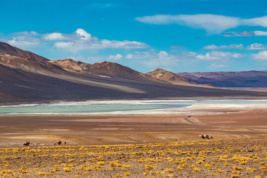 Salar de Atacama y desierto
