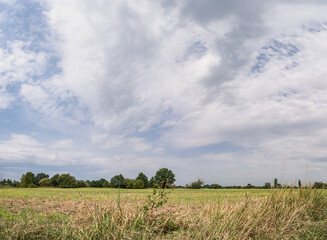 Panorama pola uprawnego w obszarze wiejskim w porze letniej po zbiorach, lekko pochmurna pogoda a w oddali drzewa