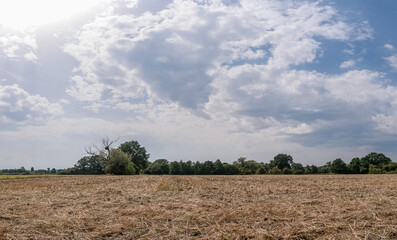 Panorama pola uprawnego w obszarze wiejskim w porze letniej po zbiorach, lekko pochmurna pogoda a w...