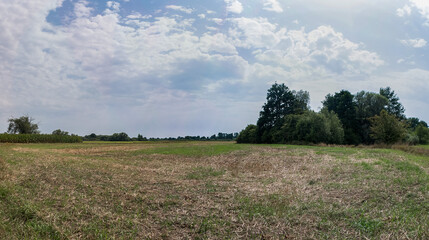 Panorama pola uprawnego w obszarze wiejskim w porze letniej po zbiorach, lekko pochmurna pogoda a w oddali drzewa
