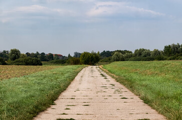 Fototapeta na wymiar Ścieżka w krajobrazie wiejskim idąca przez obszary porośnięte trawami, drzewa w tle pora letnia pochmurna pogoda