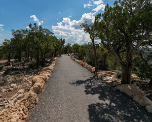 grand canyon walking road