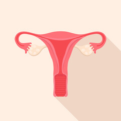 A flat style icon of the female reproductive system. Uterus with ovaries, gynaecology. Vector