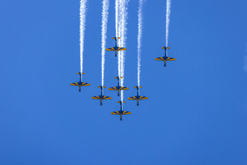 Esquadrilha da Fuma&ccedil;a