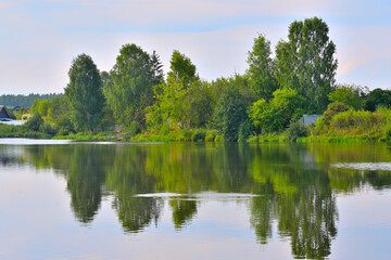 Fototapeta na wymiar Wooded riverbank in the early summer morning