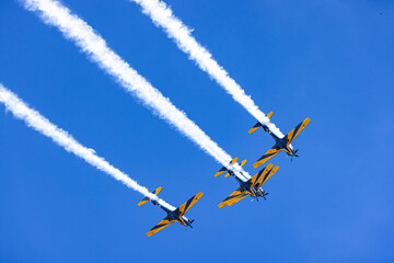 Esquadrilha da Fuma&ccedil;a