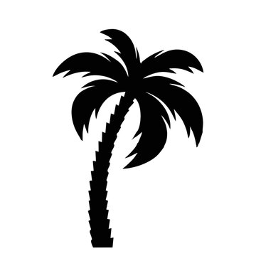 Silhouette of a coconut tree on a white background. Suitable for use as a beach design element, coconut logo or design with a nature theme. Editable Vector