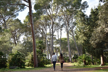 Fototapeta premium Pareja paseando en un bosque con grandes y altos árboles cogidos de la mano