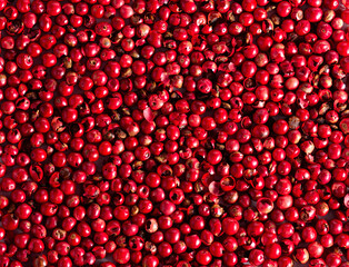 Red peppers spread all over