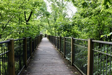 A view in front of the bridge in the park.