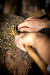 Raspa&ccedil;&atilde;o do Jagube, Santo Daime, Ayahuasca