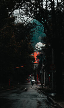 Rainy Afternoon in Bogota