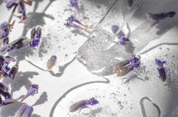 Transparent cosmetic gel with lavender flowers in a Petri dish. Close-up - the structure of the lavender gel. Laboratory research and development of cosmetics for body care