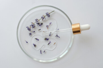 Top view of the structure of the gel in a petri dish with a pipette and lavender flowers. Research and development of lavender body care cosmetics