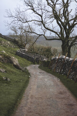 path in the park