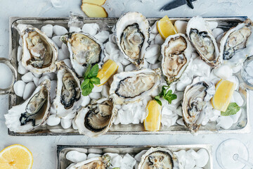 Fresh oysters with lemon and ice. Restaurant delicacy. oysters dish. Oyster dinner with champagne...