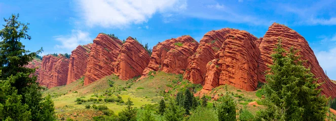 Dekokissen The natural unusual landscape of the Red Rocks of extraordinary beauty is similar to the Martian landscape. Tale of colorful canyon in Kyrgyzstan. Amazingly beautiful landscape. © Vera