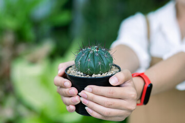 Happily Asian young gardener couple wearing apron use garden equipment and laptop computer to take care the house plants in greenhouse shop together, small business with green plant