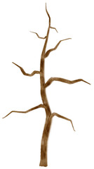 Leafless dead tree dry tree watercolor illustration for Decorative Element