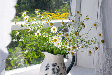 Bouquet of daisies on window sill in countryside