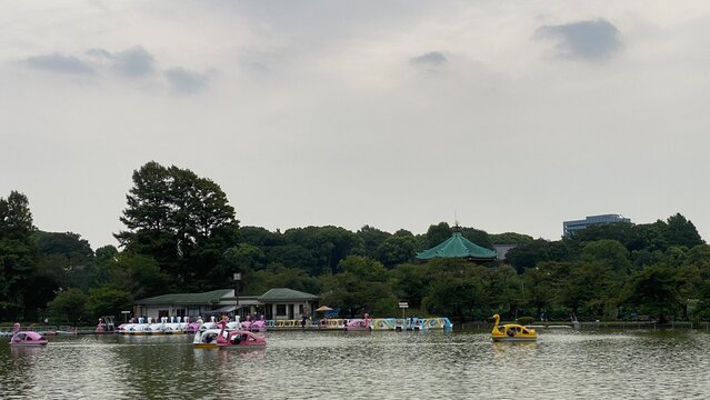 Cloudy pond of Ueno Tokyo Japan, August summer year 2022