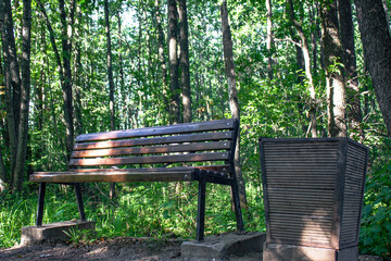Bench and urn in a dense green park. Bench in a forest overgrown park.
