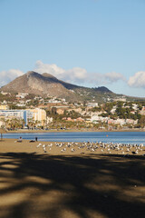 Fototapeta na wymiar Panorama of Malagueta beach in Malaga, Spain