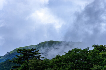 Low fog descends to treetops in mountains