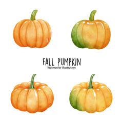 Fall pumpkin, halloween. Vector illustration