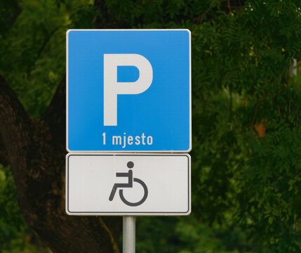 Close-up shot of a handicapped parking sign attached on metal a pole with a tree in the background