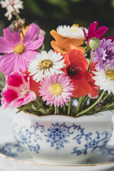 The beautiful Danish summer flowers