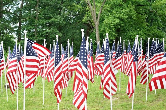 American Flag In The Garden