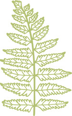 leaf line drawing