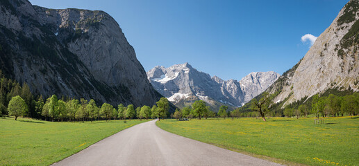 famous toll road Ahornboden, Karwendel alps at springtime, with maple Trees. tirol - obrazy, fototapety, plakaty