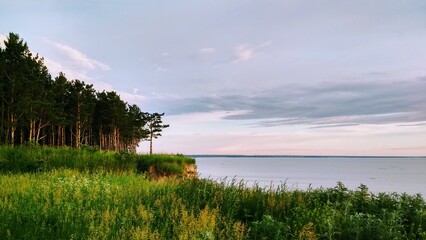 Meditating landscape on a cliff.  Landscape of a forest on a cliff by the sea.