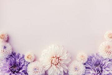 Beautiful dahlia flowers on pastel table with copy space for your text top view and flat style....