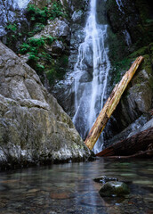 waterfall in the forest