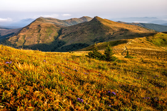 The highest part of the Bieszczady Mountains in Poland in the late summer morning.