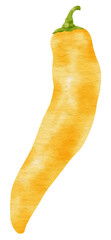 Yellow chili pepper watercolor style for Decorative Element