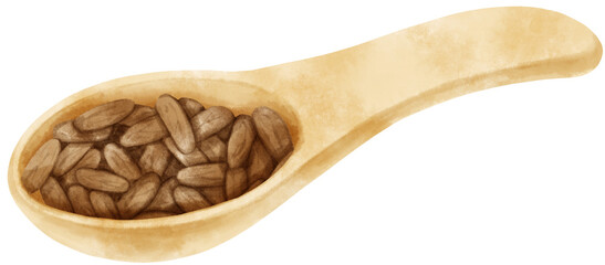 watercolor cocoa beans in wooden spoon
