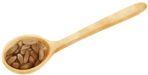 watercolor cocoa beans in wooden spoon