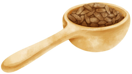 watercolor cocoa beans in wooden spoon