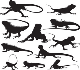 iguana silhouette