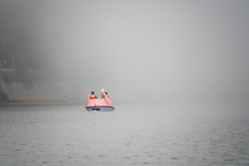 Fototapeta premium multiple varieties of colorful boats shaped like dragons, sail boats, pedal boats in fog haze clouds with colorful buildings in the background showing tourists enjoying this hill station in Nainital U