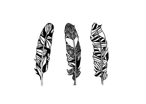 Hand drawn stylized feathers vector collection. Set of doodle tribal feathers. Cute zentangle feather for your design. Elements for greeting card and postcard, henna and tattoo.