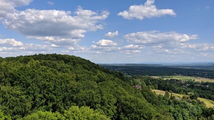 Landscape with trees