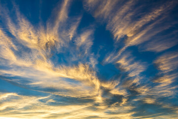 Golden, wispy clouds at sunset. Deep blue sky. 
