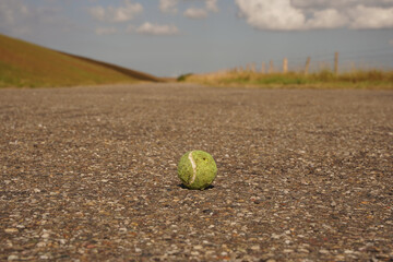 A snack ball for the dog lying on an asphalt road