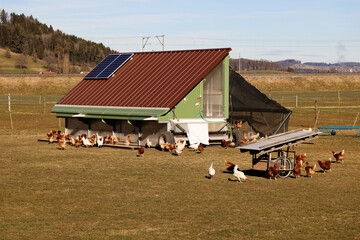mobile mobile chicken coop with solar panels on brown roof, chickens moving freely in large...