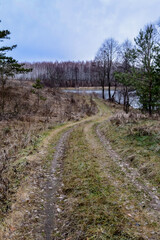 path in the woods